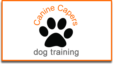 Canine-capers-dog-training-www.thedogtrainer.co.uk